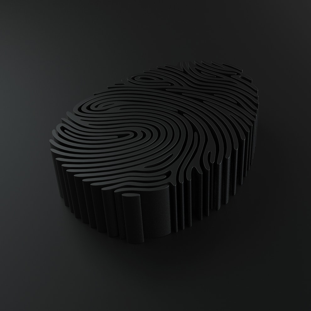 fingerprint